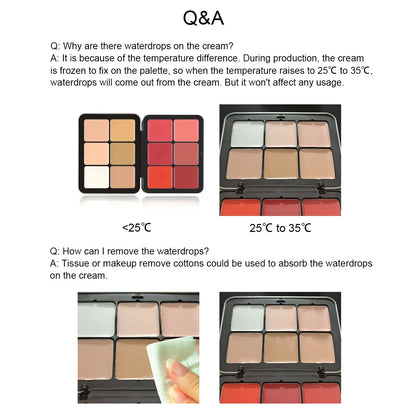 12-color iron box concealer blush cream matte highlight contour makeup