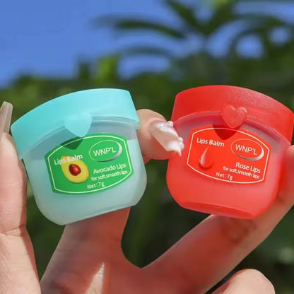 4/6/8pcs Moisturizing Lip Balm Sets Lipstick Makeup Natural Plant Base
