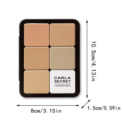 12-color iron box concealer blush cream matte highlight contour makeup