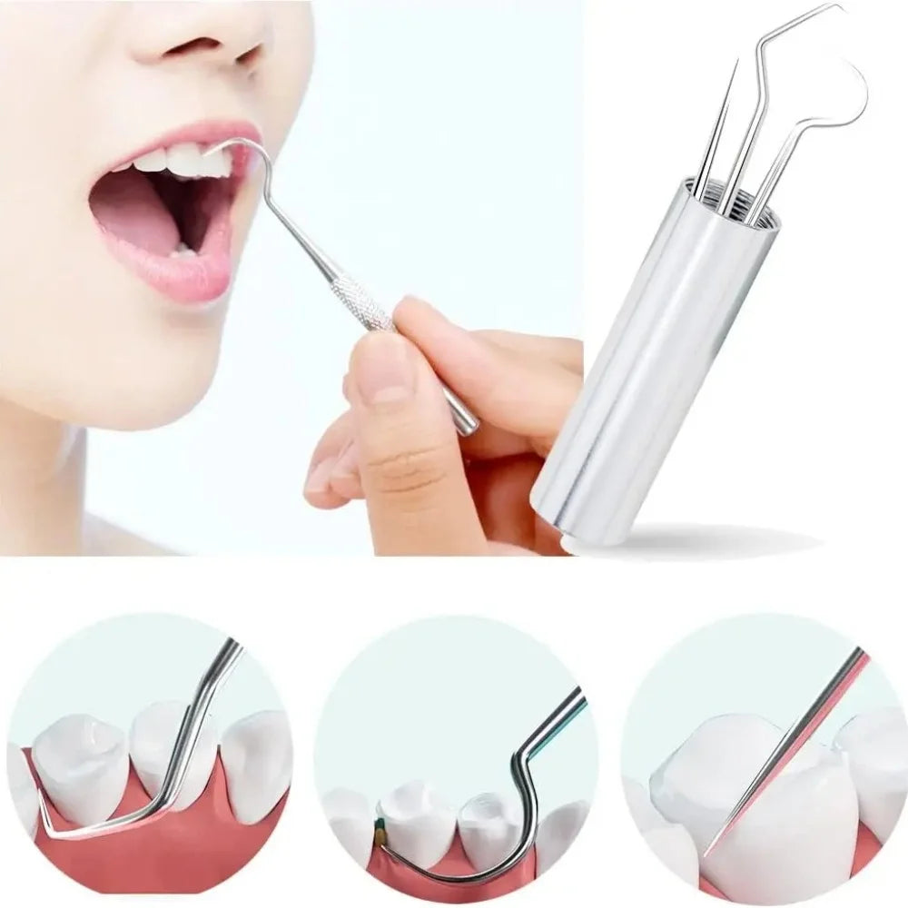 Stainless Steel Toothpick Set Tooth Flossing Reusable Toothpicks