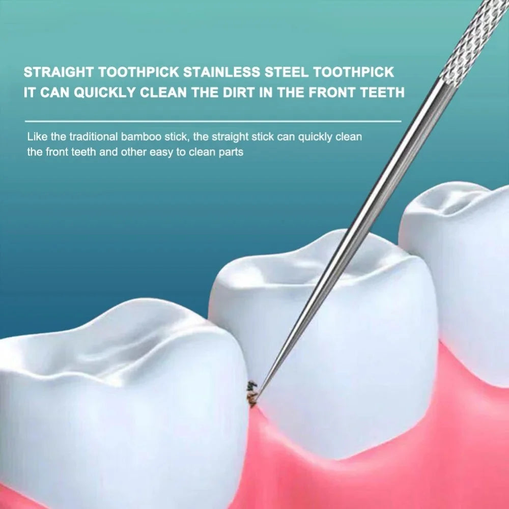 Stainless Steel Toothpick Set Tooth Flossing Reusable Toothpicks