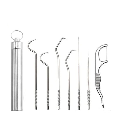 Stainless Steel Toothpick Set Tooth Flossing Reusable Toothpicks