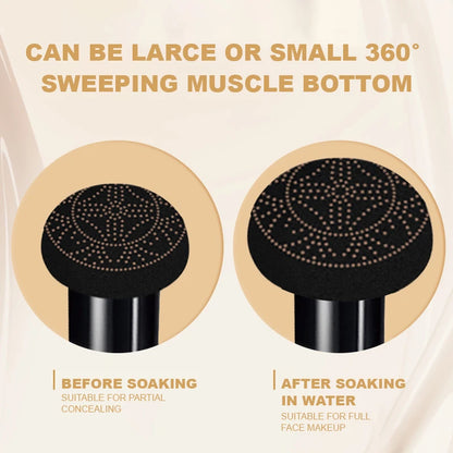 Ocheal BB Cream Air Cushion Compact Make Up Foundation Concealer Cream