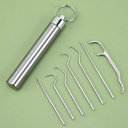 Stainless Steel Toothpick Set Reusable Toothpicks Tooth Flossing