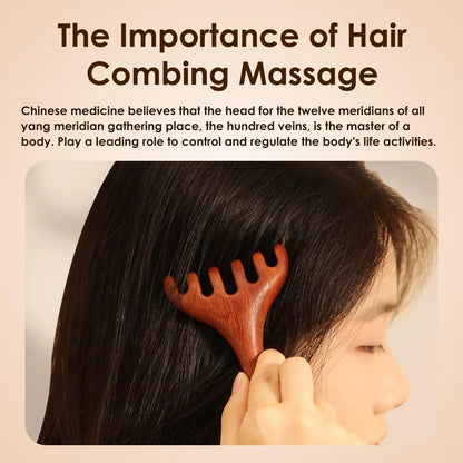 Natural Sandalwood Five-Claw Scalp Massager Gua Sha Tool Back