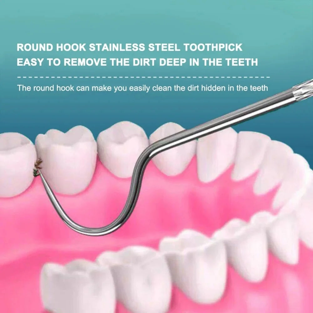 Stainless Steel Toothpick Set Tooth Flossing Reusable Toothpicks