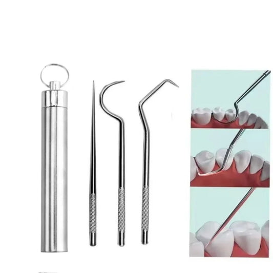 Stainless Steel Toothpick Set Tooth Flossing Reusable Toothpicks