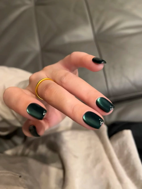 WS Black Glass Cat Magnetic Gel Nail Polish Punk Style Nail Art