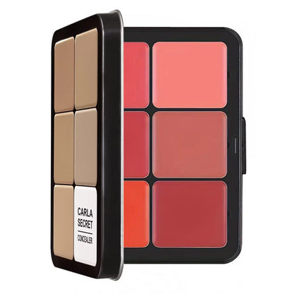 12-color iron box concealer blush cream matte highlight contour makeup