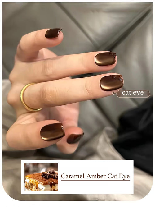 WS Black Glass Cat Magnetic Gel Nail Polish Punk Style Nail Art