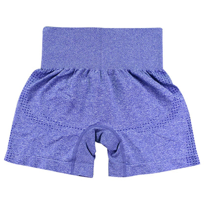 High Elasticity Women's Gym Shorts for Yoga and Fitness