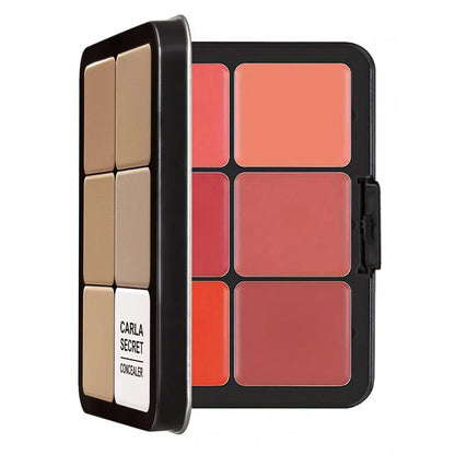 12-color iron box concealer blush cream matte highlight contour makeup