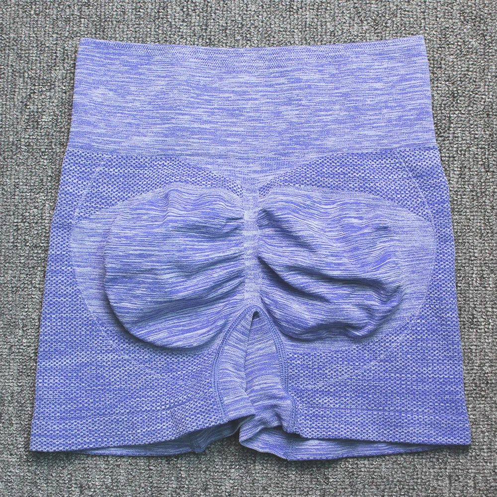 High Elasticity Women's Gym Shorts for Yoga and Fitness