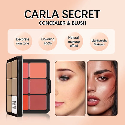 12-color iron box concealer blush cream matte highlight contour makeup
