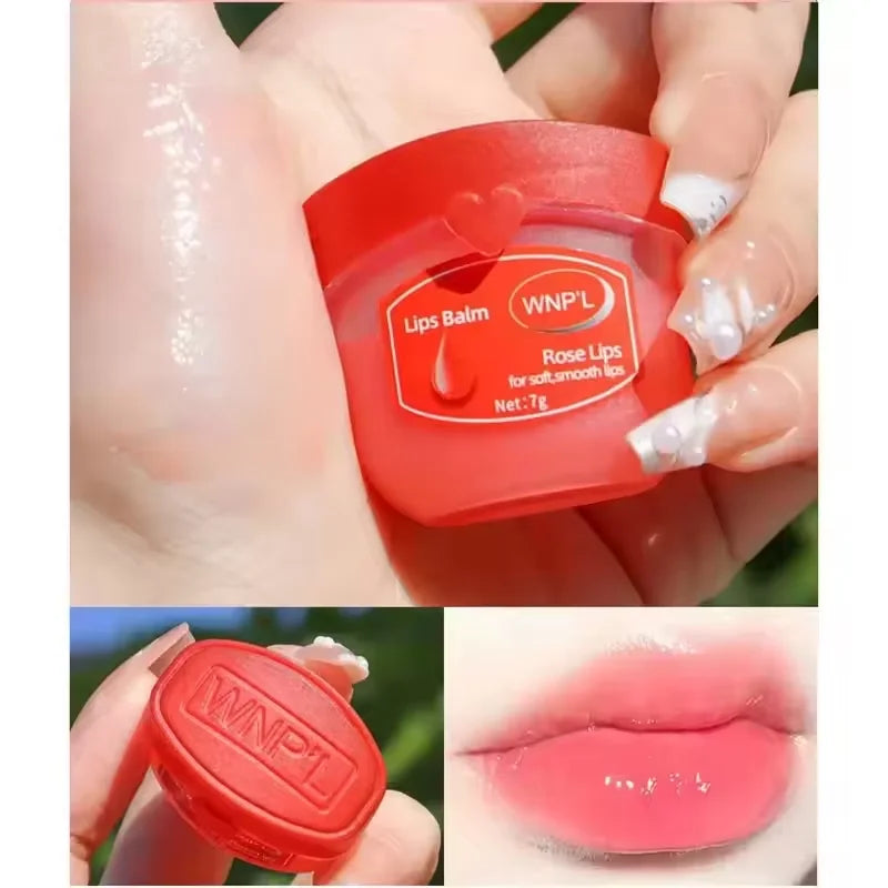 4/6/8pcs Moisturizing Lip Balm Sets Lipstick Makeup Natural Plant Base