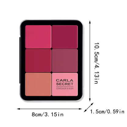 12-color concealer and blush palette Matte and highlight contour
