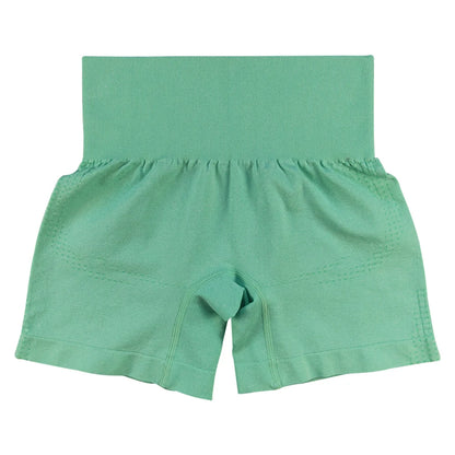 High Elasticity Women's Gym Shorts for Yoga and Fitness