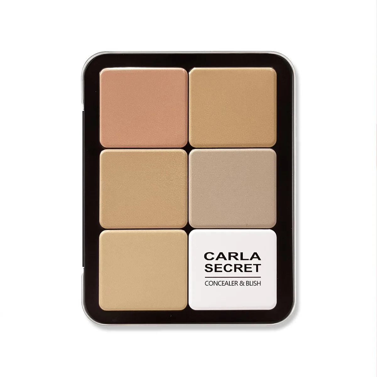 12-color iron box concealer blush cream matte highlight contour makeup