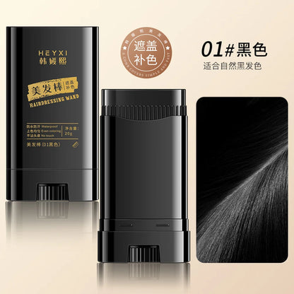 HEYXI Temporary Hair Dye Pen Instant Gray Root Cover Up Stick