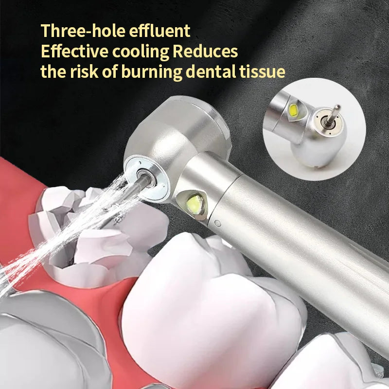 LED Dental High Speed Handpiece Triple Water Spray 2/4 Holes Standard