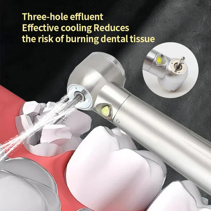 LED Dental High Speed Handpiece Triple Water Spray 2/4 Holes Standard