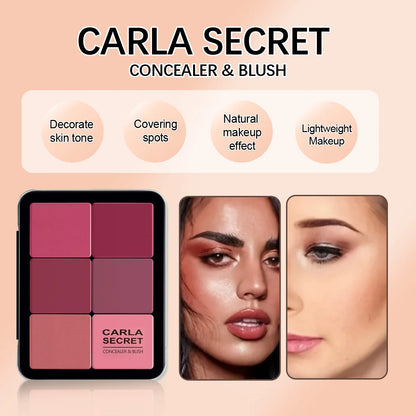 12-color concealer and blush palette Matte and highlight contour