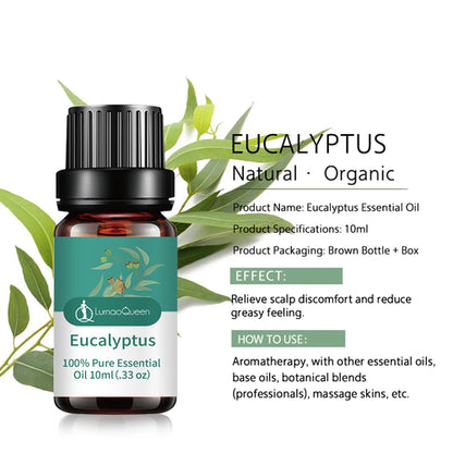 Essential Oils for Diffusers Home Essential Oil Aromatherapy Oil 100%