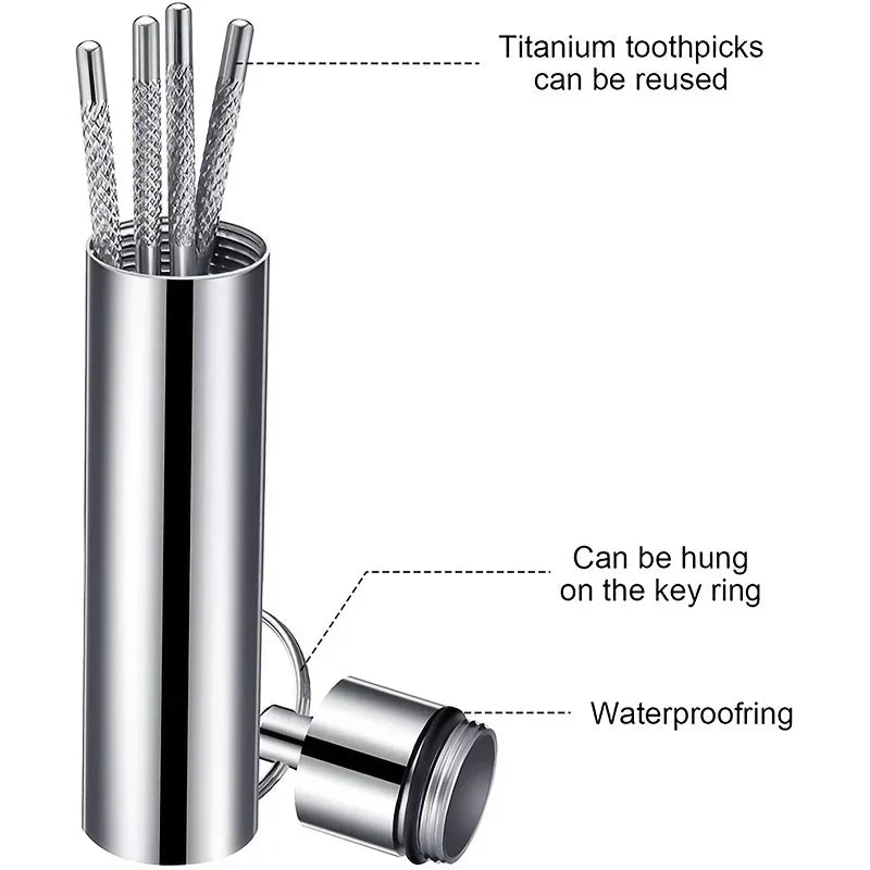 Stainless Steel Toothpick Set Reusable Toothpicks Tooth Flossing